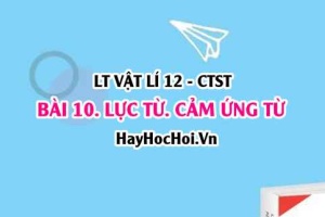 Cảm ứng từ B là gì? Biểu thức tính lực từ, công thức tính độ lớn cảm ứng từ? Vật lí 12 bài 10 CTST